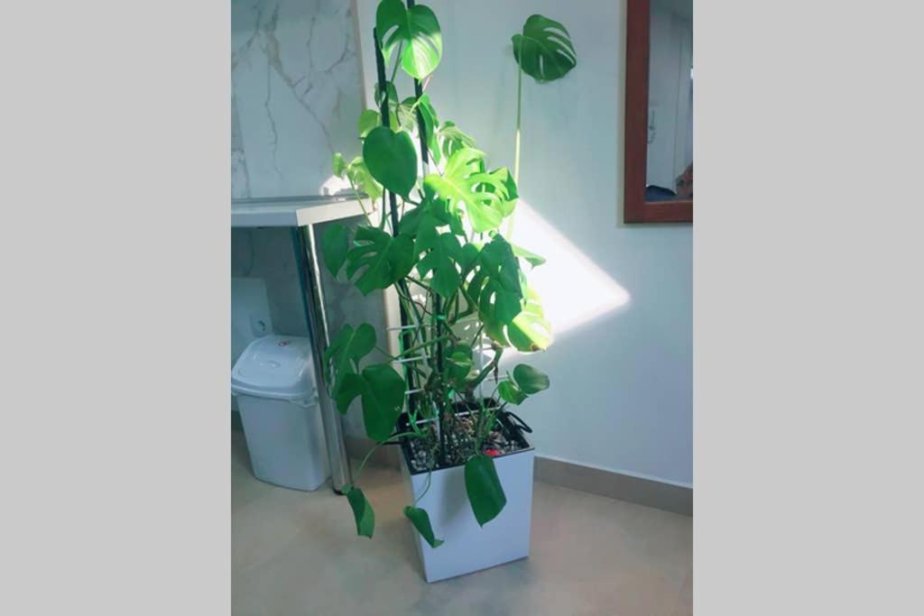 Apartman Santorini Novi Sad Dış mekan fotoğraf